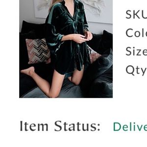 Free People Lux Velvet Shirt Dress